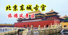 小嫩逼想被大鸡巴操亚洲无码中国北京-东城古宫旅游风景区